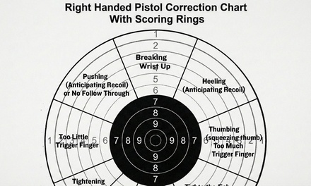 Firearm Safety for CT Carry Permit for One person - Kola Firearms Safety Training