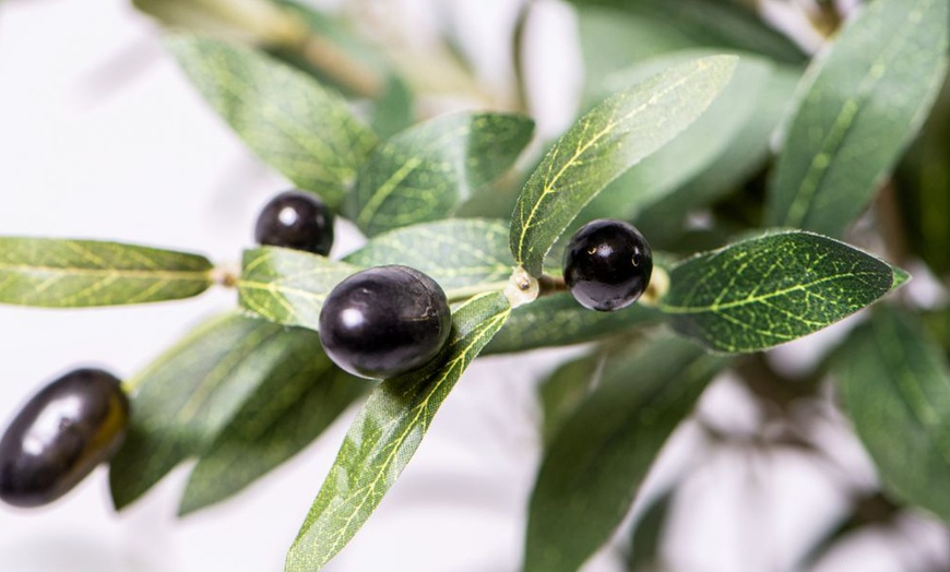 Image 14: Artificial Plants and Trees - Bamboo, Ficus, Olive and Palm