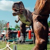 Image 8: Ticket to Dinosaurs In The Park for 2, 3 or 4 (17th May-8th June 2025)