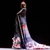 Image 3: "Inspiración": entrada al show de flamenco en diciembre en Barcelona