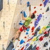 Image 2: Explore 47,000 sq ft of Indoor Climbing Fun in Salt Lake City!