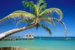 Discover Miami with a Yacht Tour for Six People for Two or Four Hours at Luxury Tours (Up to 50%Off)

 - Second Medium