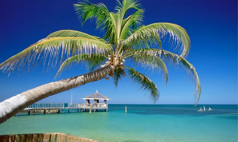 Embark on a Yacht Tour for Six People for Two or Four Hours