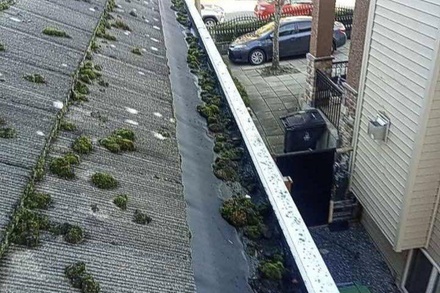 Gutter Cleaning for a One Story Home - Shinex Home Solutions