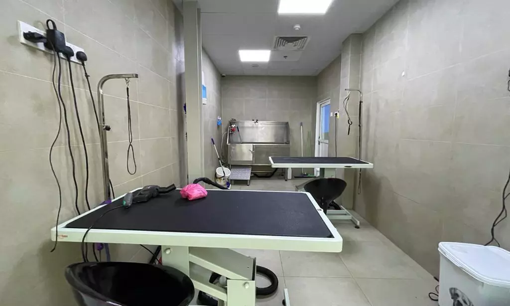 Extensive Pet Grooming Service