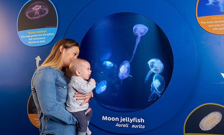 Image 16: Oceanarium Experience for One Adult, Child, Senior or Family of Upto 5