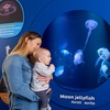 Image 16: Oceanarium Experience for One Adult, Child, Senior or Family of Upto 5