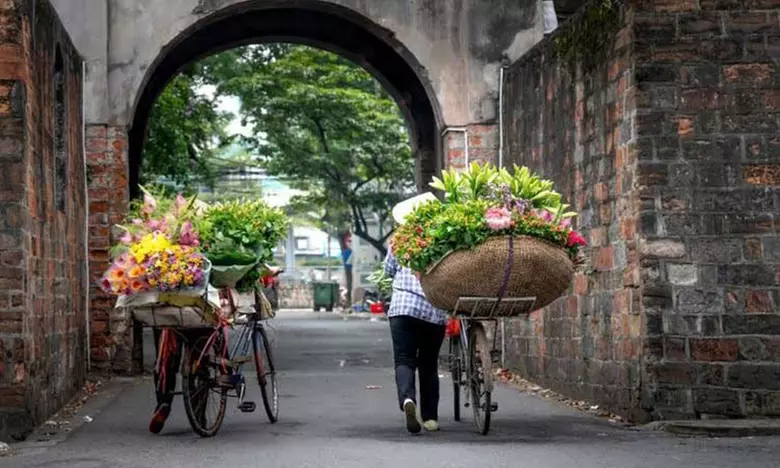 11-Day Vietnam Adventure: Stay, Cruise, Flights, Meals & Halong Tours!