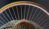 Up to 30% Off on Salon - Scalp Care at KT Bliss Lash And Brow