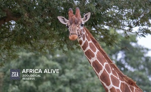 Africa Alive! Zoo Entry Tickets - Weekday and weekend availability! 