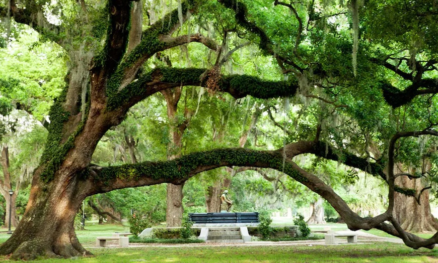 Image 15: New Orleans City, Cemetery, Garden District, Swamp & Plantation Tours