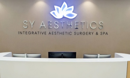 One Mini Facial and  Skin Consultation - SY Aesthetics