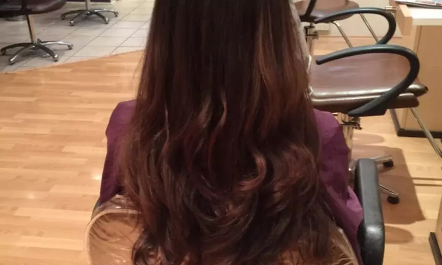 One Women's Haircut + Olaplex Deep Conditioning Treatment & More
