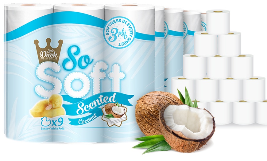 Image 1: Coconut Toilet Rolls