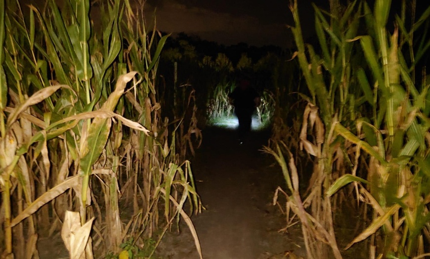 Image 6: Experience The Thrill: Haunted Trail Admission for Two or Four (10/04/2025 to 10/25/2025) ( Up to 58% Off )