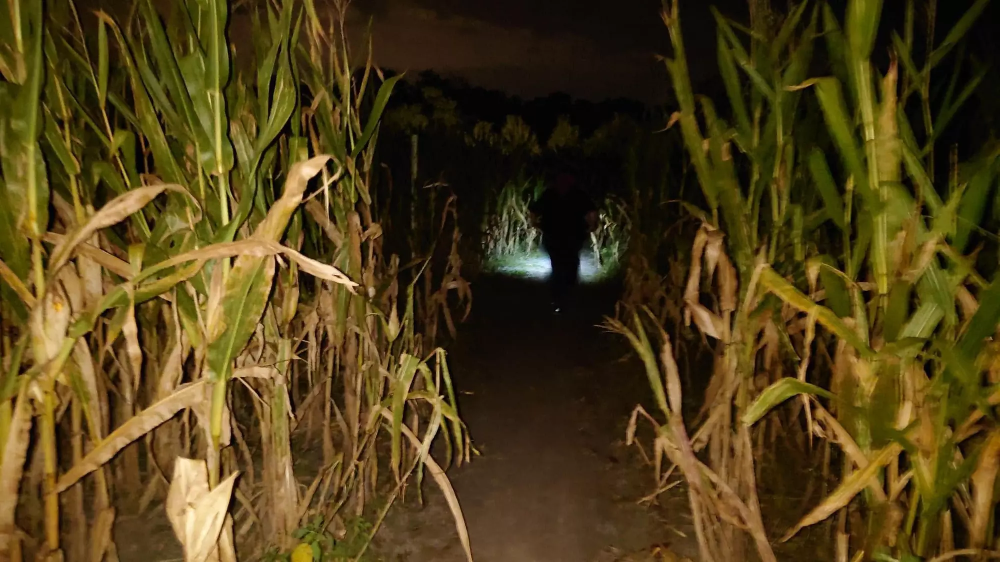 Ultimate Adventure Begins: Haunted Trail Admission for Two or Four