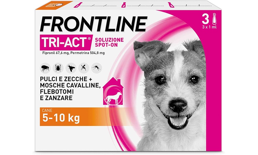 Image 12: Fino a 12 pipette Frontline Tri-Act® Spot-on per cani