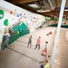 Image 1: Indoor Rock Climbing Day Pass for 1 or 2 with Shoe Rental