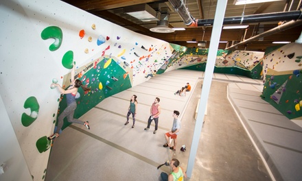 Climbing Package for Two with Day Pass & Rental Equipment - Momentum Indoor Climbing SODO Seattle, Washington