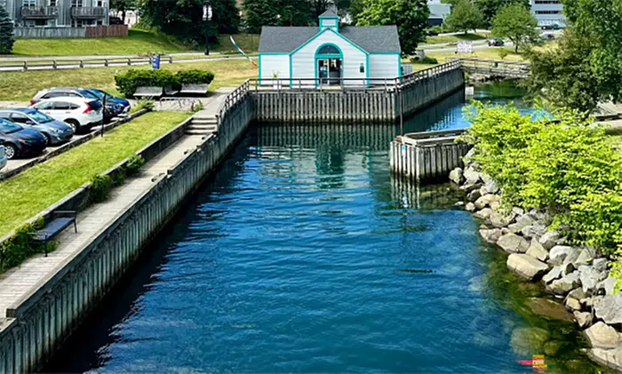 Dive into the Ocean World with Admission to  Up to Six