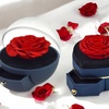 Image 1: Boîte à bijoux avec rose éternelle