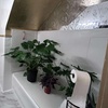 Image 4: Unwind with a 40, 60 or 90 Minute Head Spa and Facial Cleansing