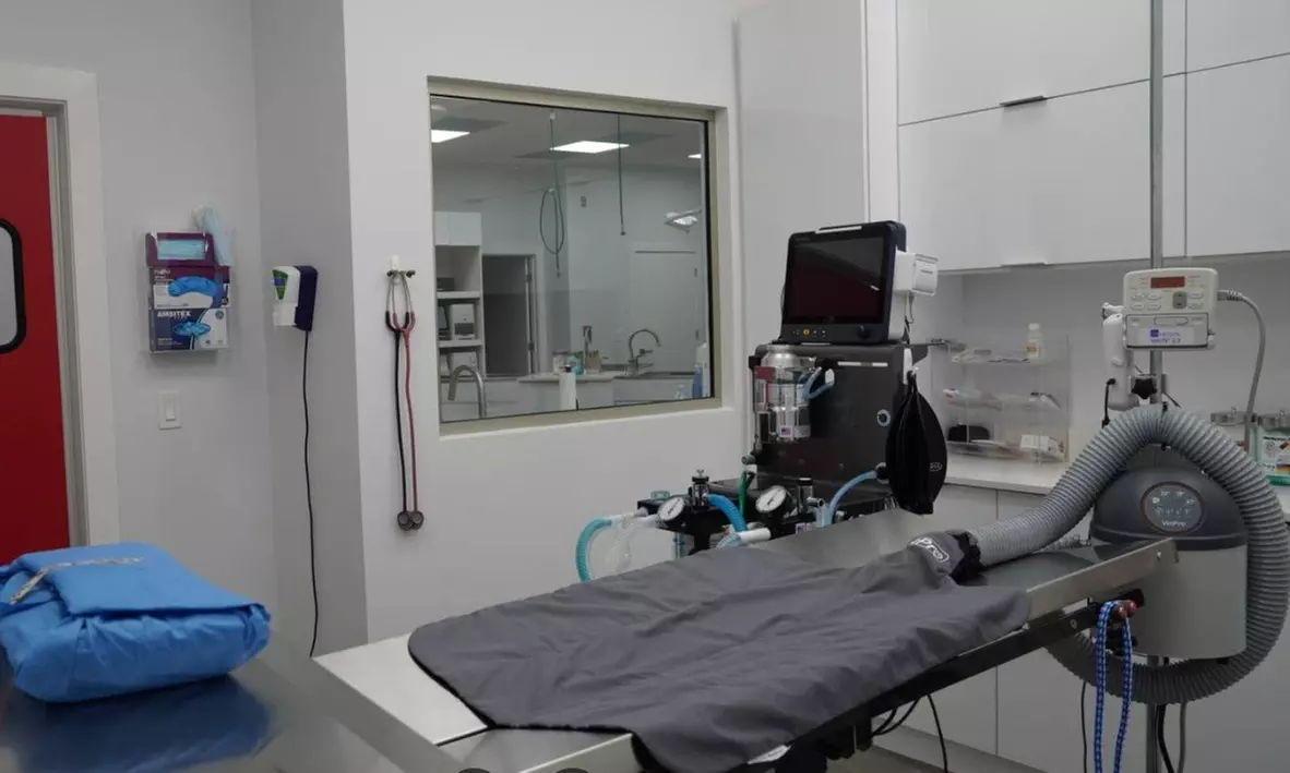 Up to 59% Off on Vet at Your Veterinary Hospital