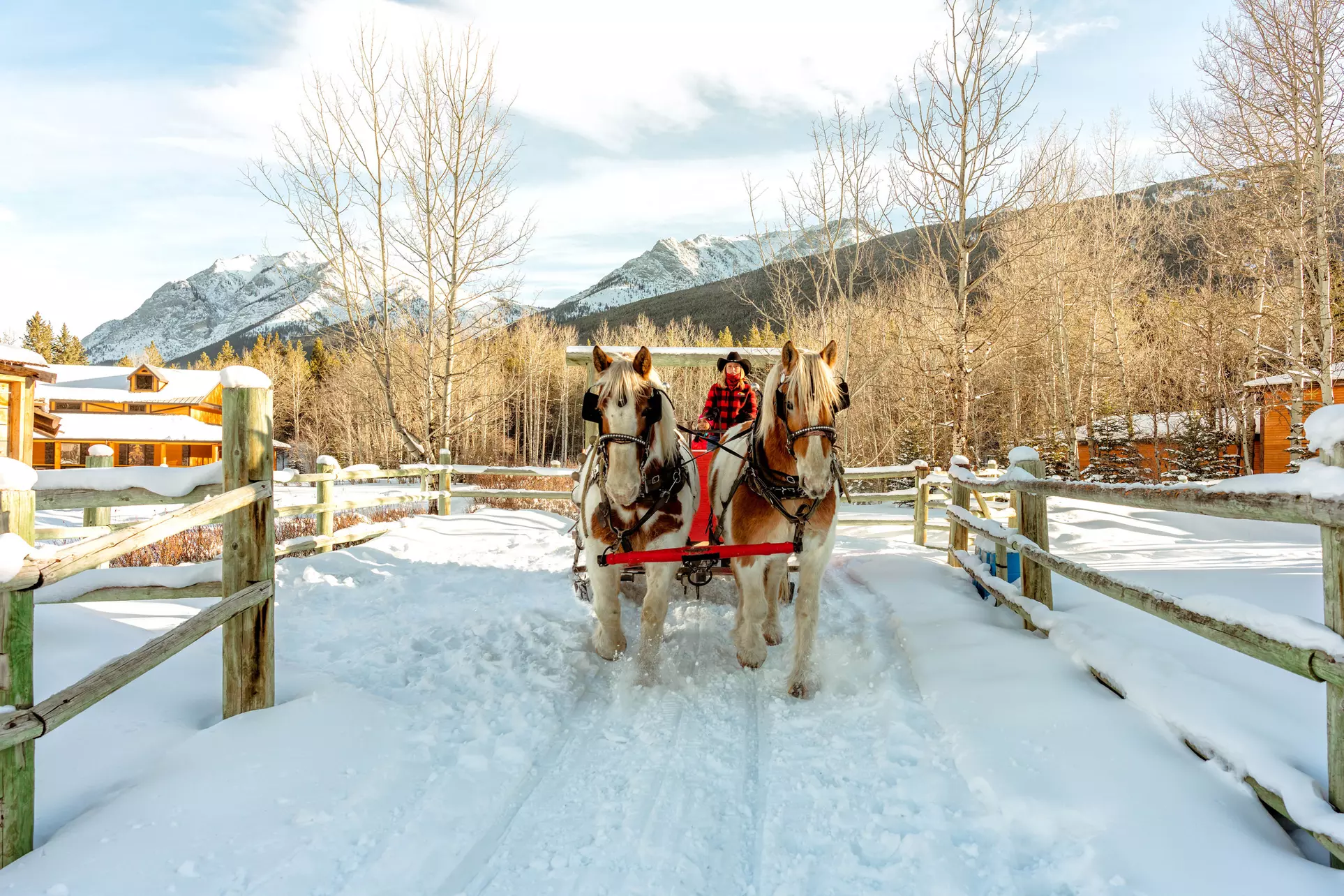 Magically Breathtaking Winter Sleigh Adventure in the Canadian Rockies