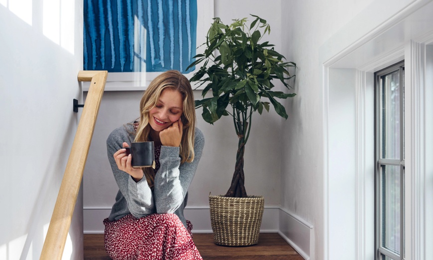 Image 21: Next Day Delivery Lush Plants from 1-800-Flowers (up to 55% off)