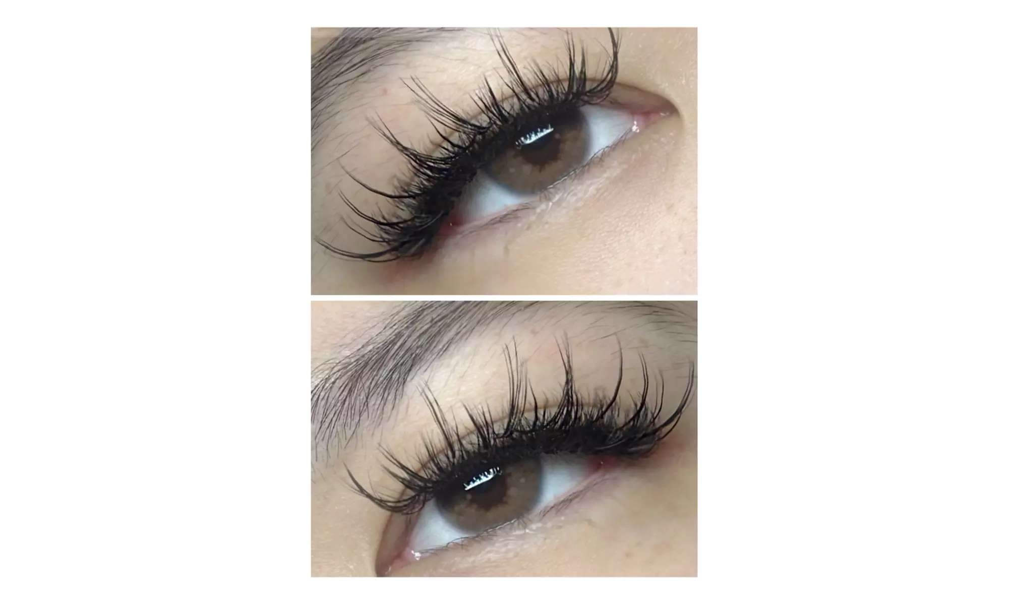 Up to 45% Off on Eyelash Extensions at Rose Beauty