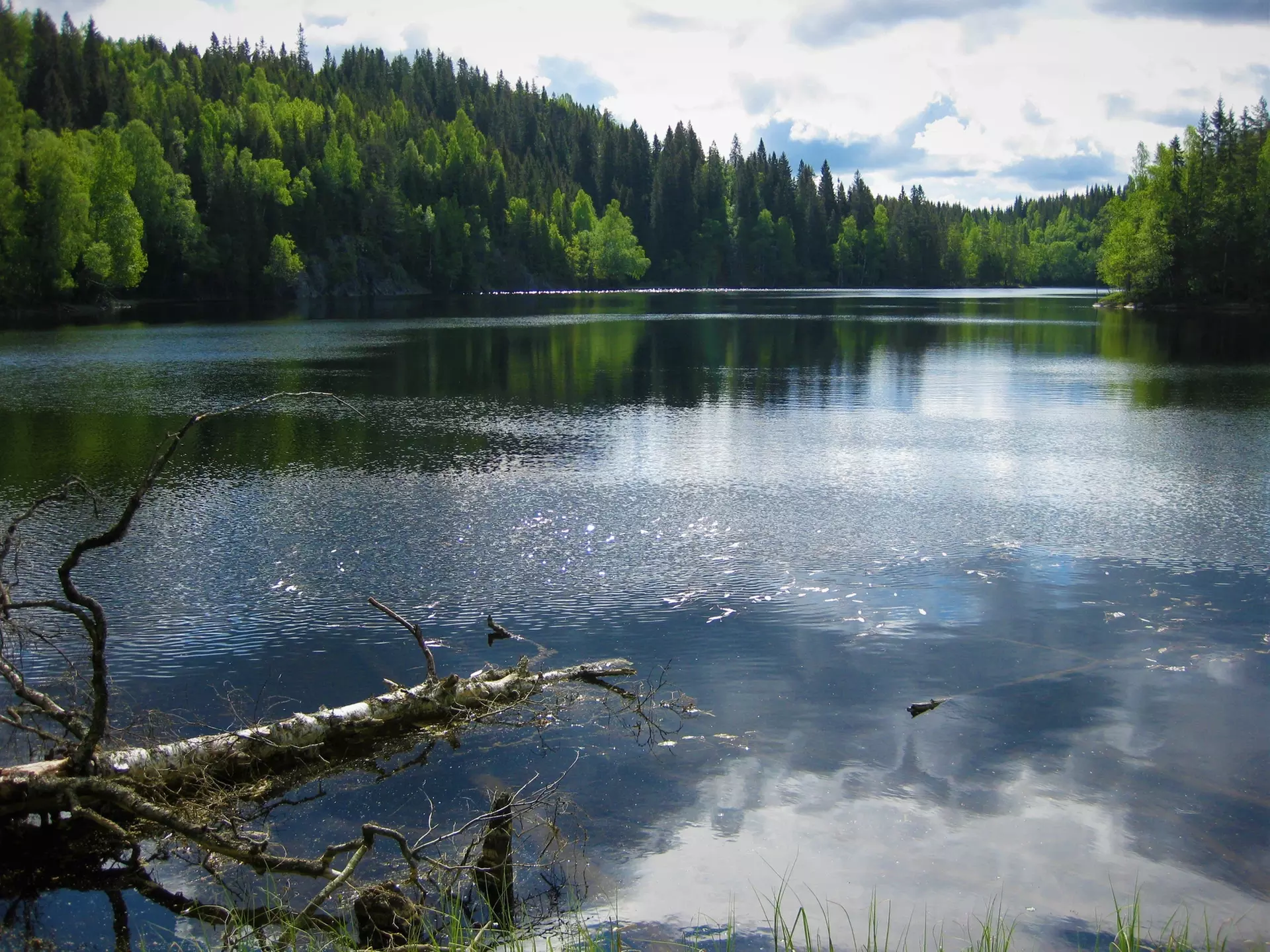 ✈ Norway Pulse: 7-Day City Break in Oslo with Air & Hotel from Worldee