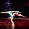 Image 12: Le Cirque du Soleil revient avec"Alegría" : 25% de remise à Paris