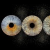 Image 1: Je oog als kunstwerk: Irisshoot voor 1 of 2 personen