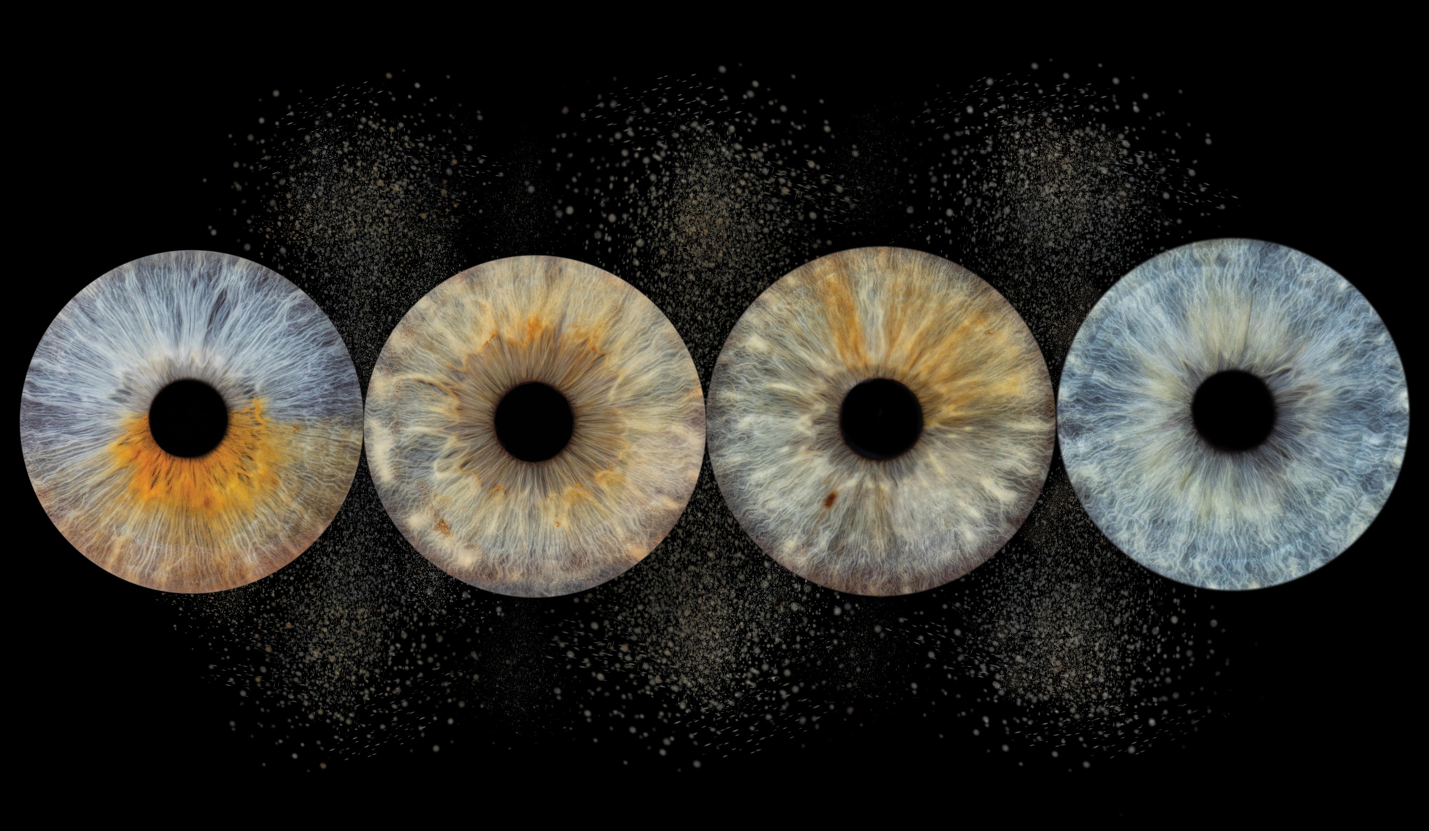 Je oog als kunstwerk: Irisshoot voor 1 of 2 personen