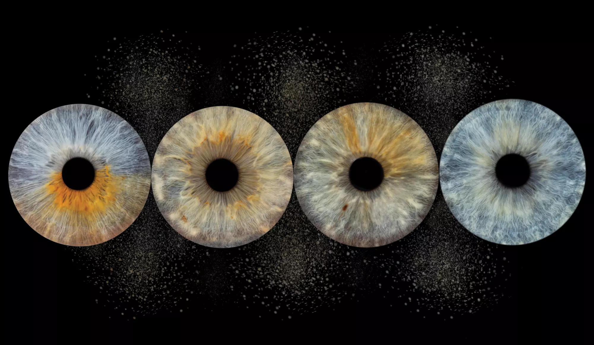 Je oog als kunstwerk: Irisshoot voor 1 of 2 personen