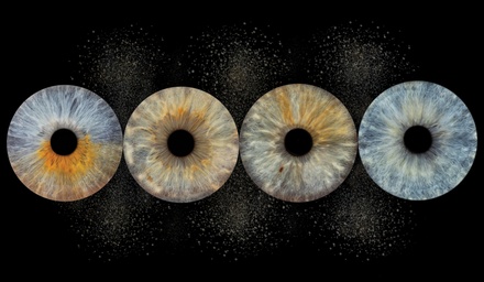 Irisshoot voor 1 persoon: 1 ontwerp digitaal + 1 foto geprint op 15 x 20 cm - Photos Master Studio