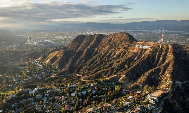 What to expect media