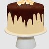 Image 1: Delicious Chocolate Salted Caramel Cake Choices
