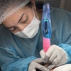 Image 1: Cosmetic Tattoo Session for Eyebrows Eyeliner or Lip Blush