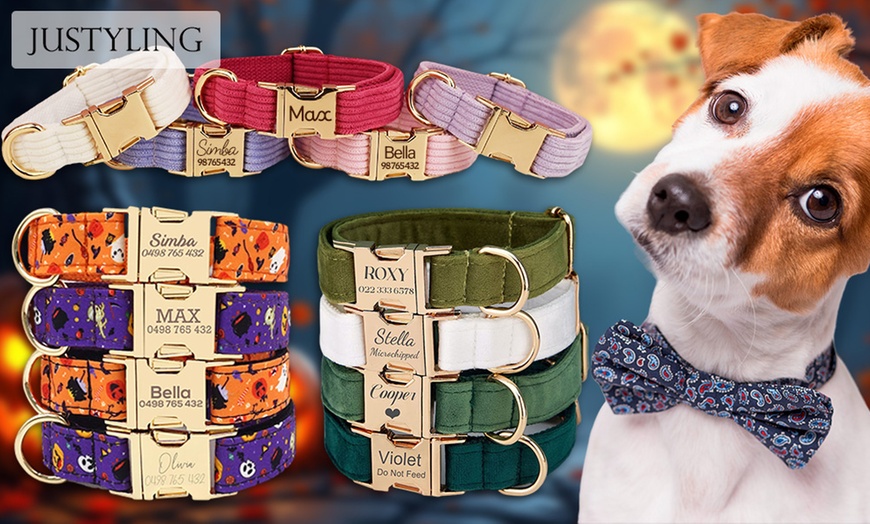 Image 6: Un collier aussi unique que votre animal