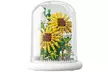 DIY-Baustein-Set für Blume in einer Glaskuppel im Modell nach Wahl - Second Medium