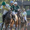 Image 2: Houston Polo Club: Tickets for Two | Oct 26, Nov 2, Nov 16