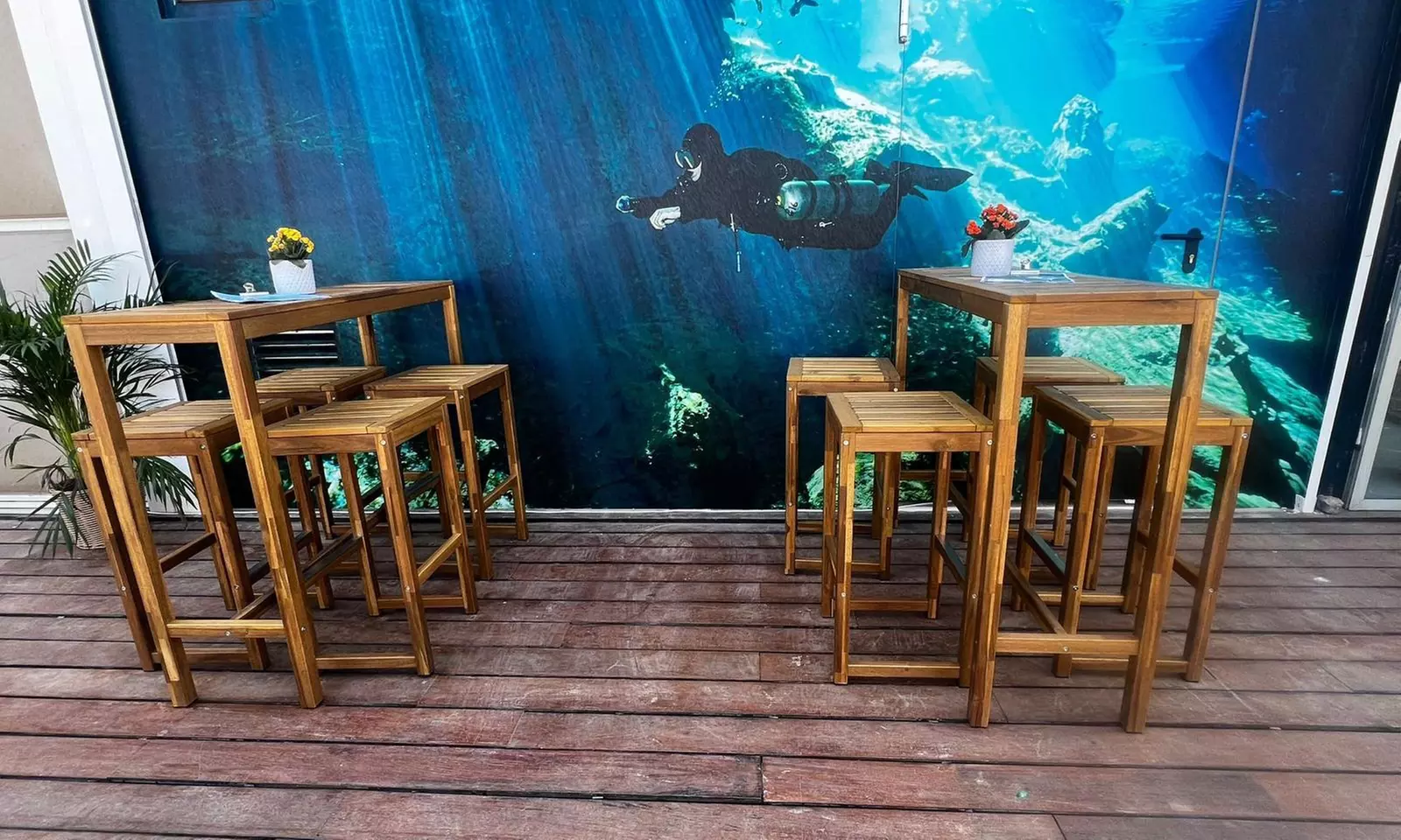 Bautizo de buceo o excursión snorkel con fotos