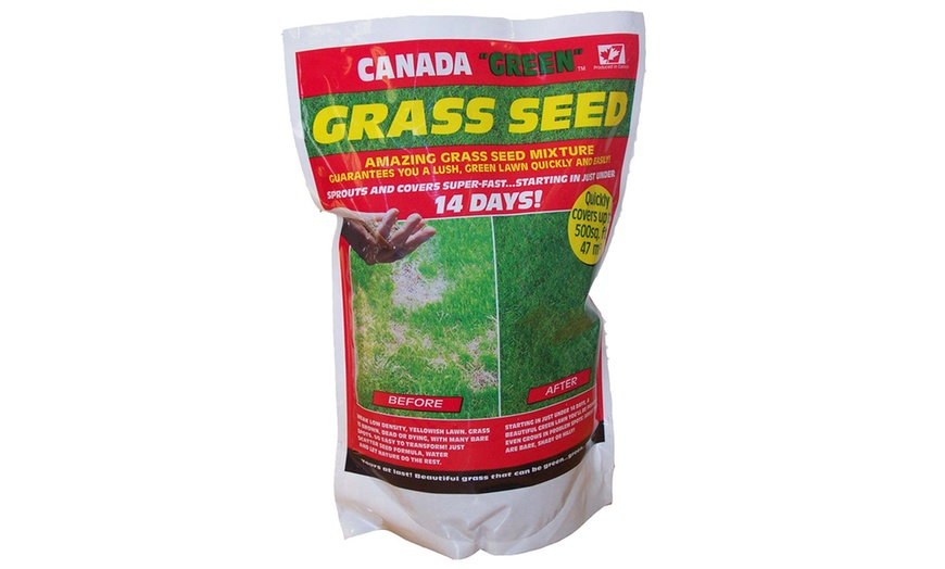 Image 1: Canada Green Grass Seed