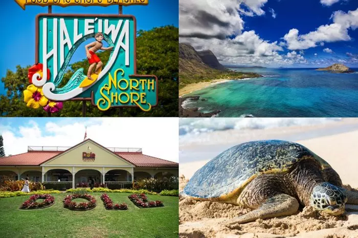 Oahu 16-Location Tour Deal with Snorkeling, Guide, Snacks & Beverages