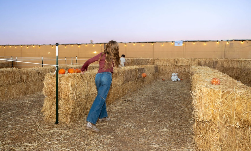 Image 8: The Desert Fall Festival (September 26 - November 1)