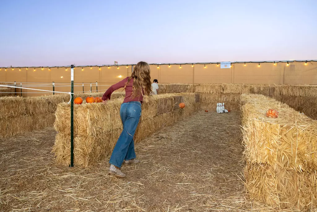 The Desert Fall Festival (September 26 - November 1)