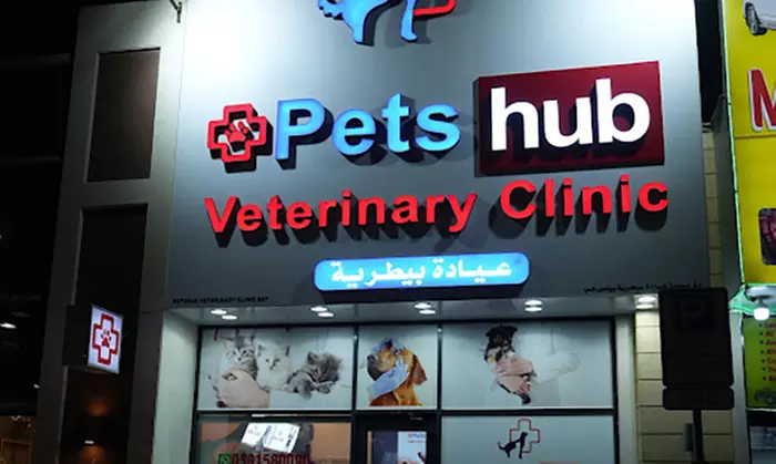 Annual Vaccination or Full Dental Scaling For Cats & Dogs