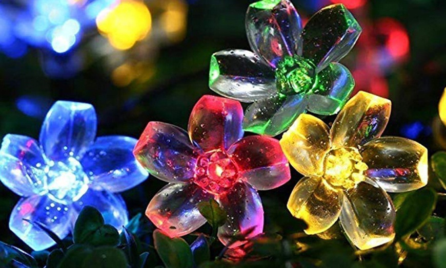 Image 13: 50 LED Multi-Coloured Solar Cherry Blossom Lights Options
