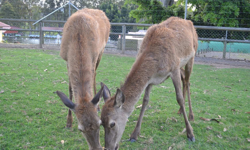 Image 5: Thrilling 4WD buggy tours and engaging animal encounters await
